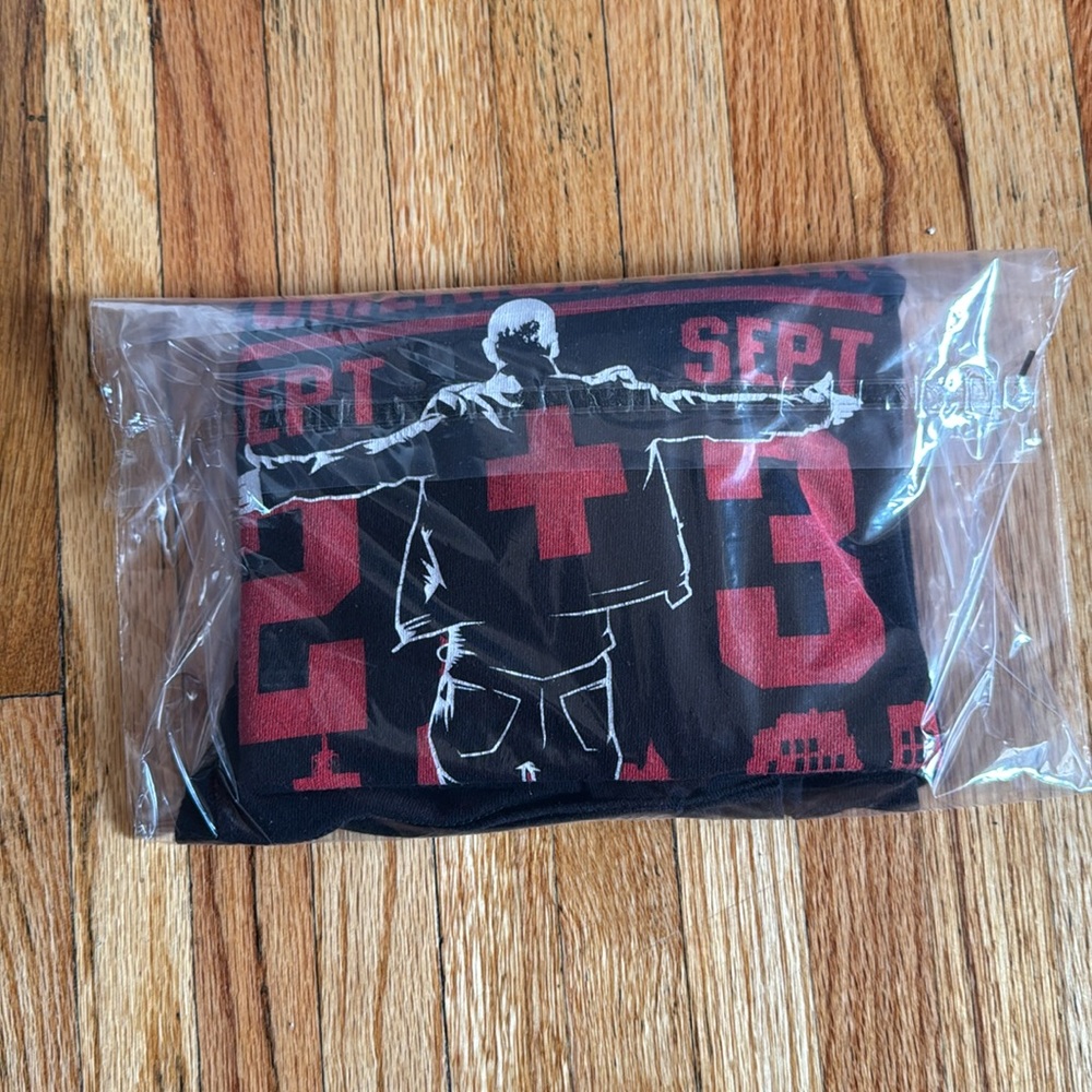 Eminem Commercial Park Detroit Concert T-Shirt / Medium / 2010 / Recovery - Picture 5 of 5